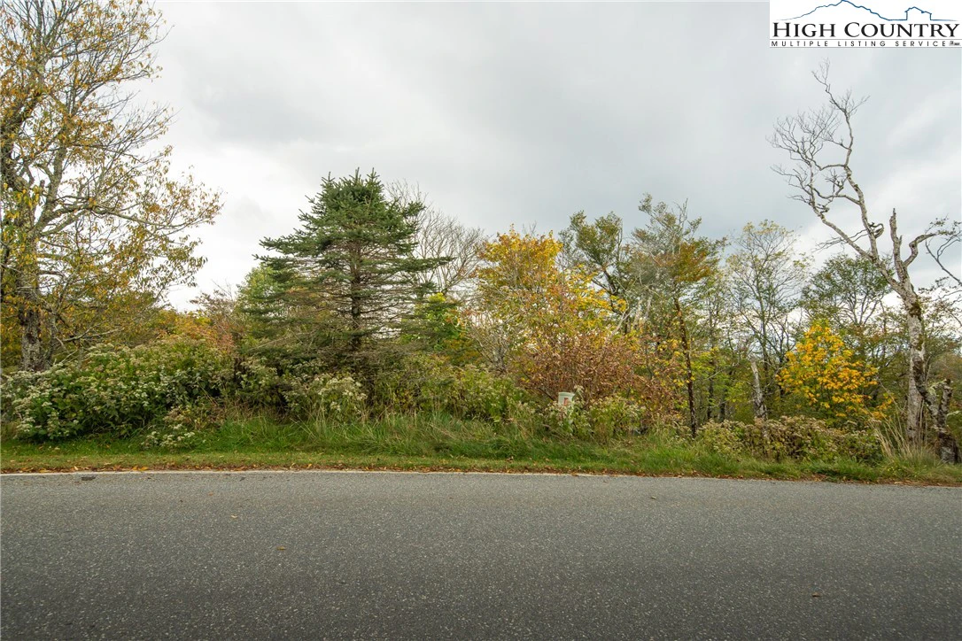Image number 9 for the current listing