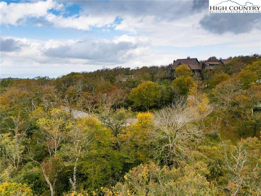Image number 4 for the current listing