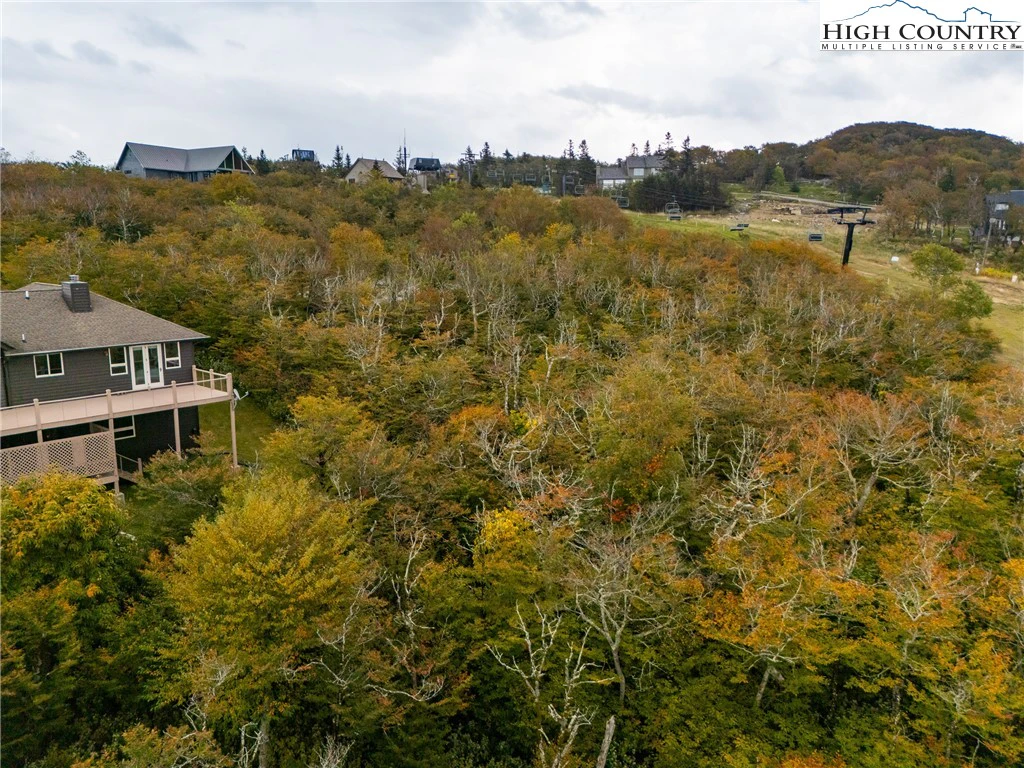 Image number 5 for the current listing