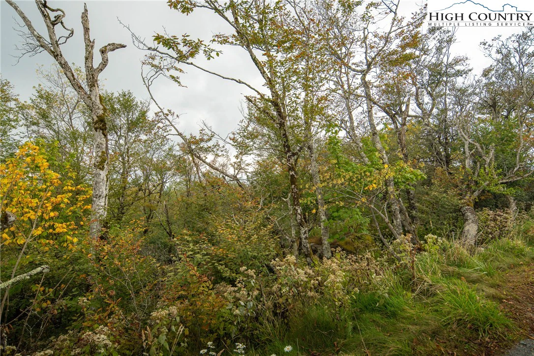 Image number 18 for the current listing