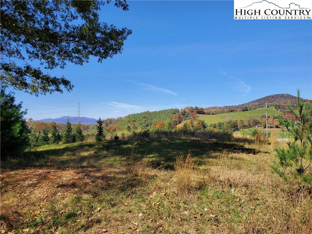 Image number 1 for the current listing