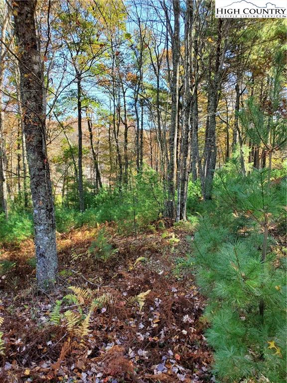 Image number 11 for the current listing