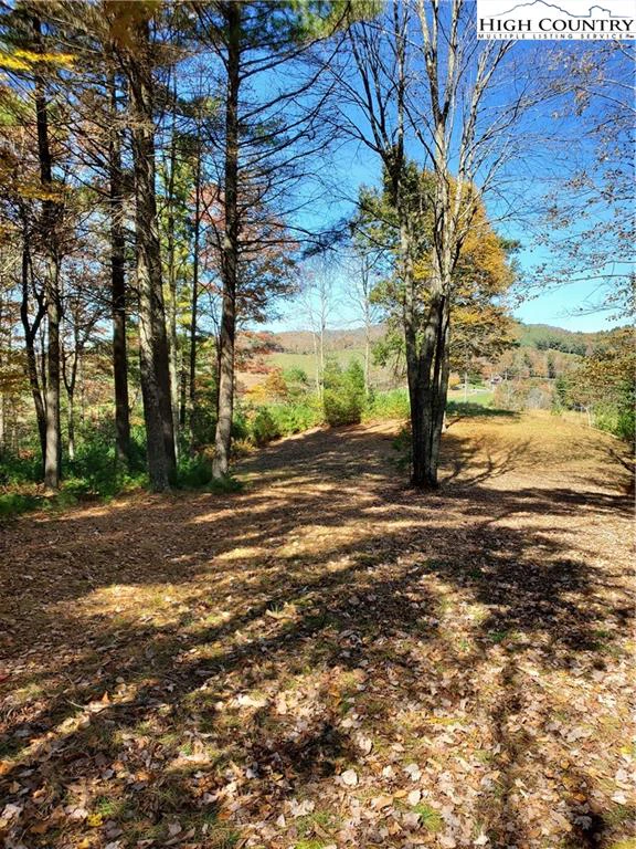 Image number 3 for the current listing