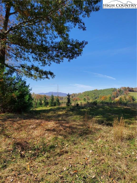 Image number 4 for the current listing