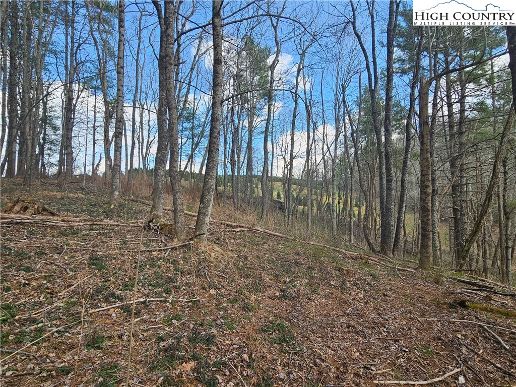 Image number 17 for the current listing