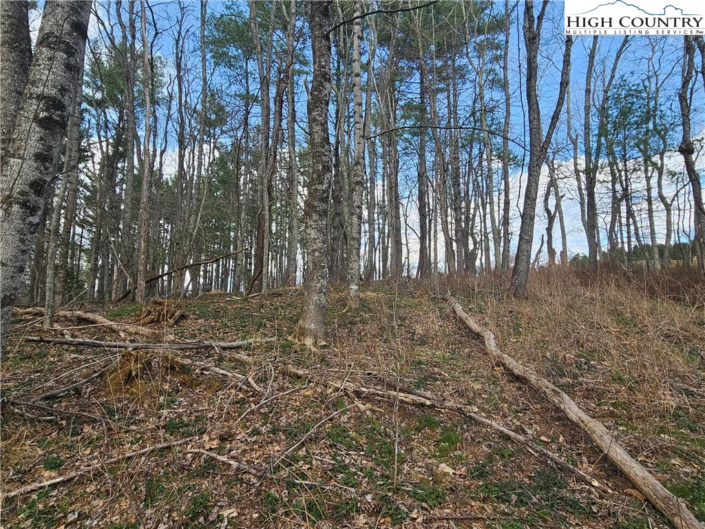 Image number 15 for the current listing