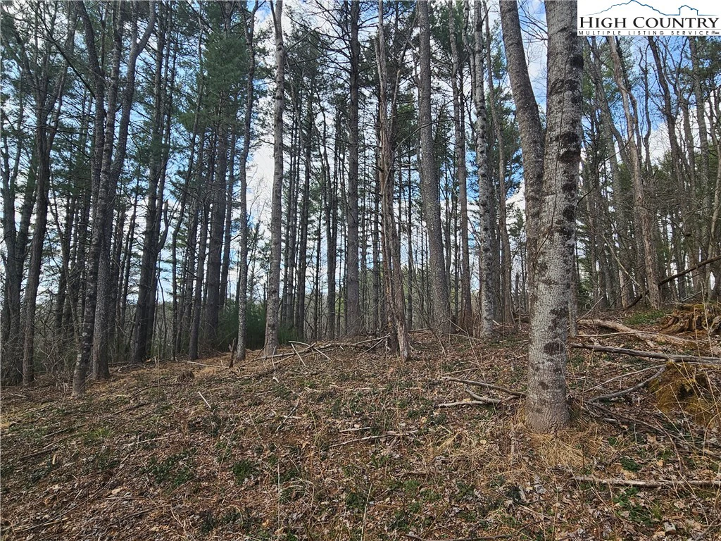 Image number 14 for the current listing