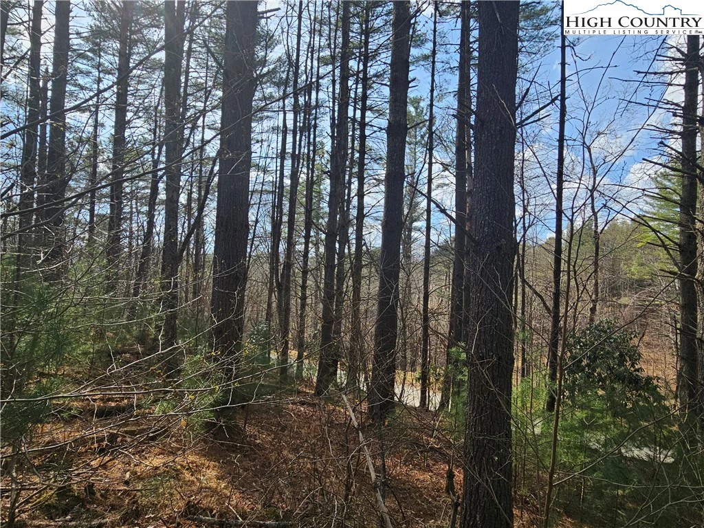 Image number 12 for the current listing