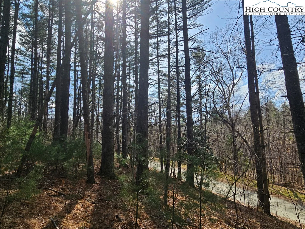 Image number 9 for the current listing