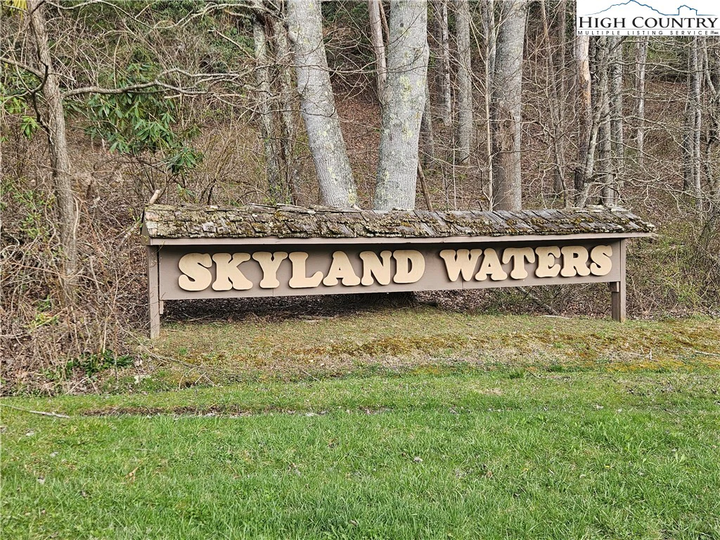 Image number 4 for the current listing