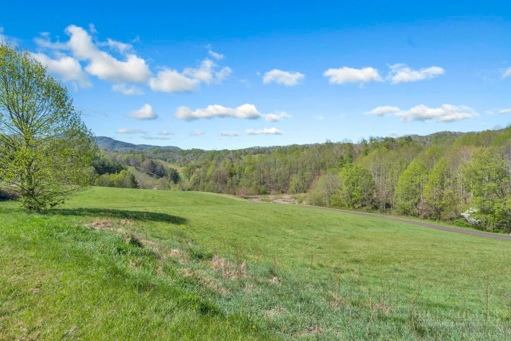 Image number 19 for the current listing