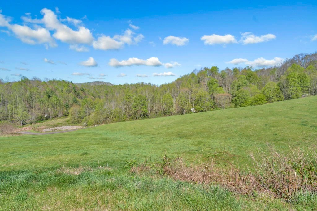 Image number 14 for the current listing