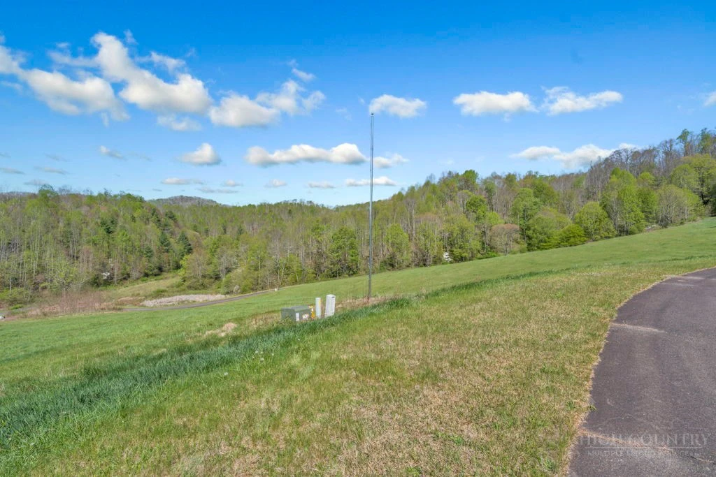 Image number 12 for the current listing
