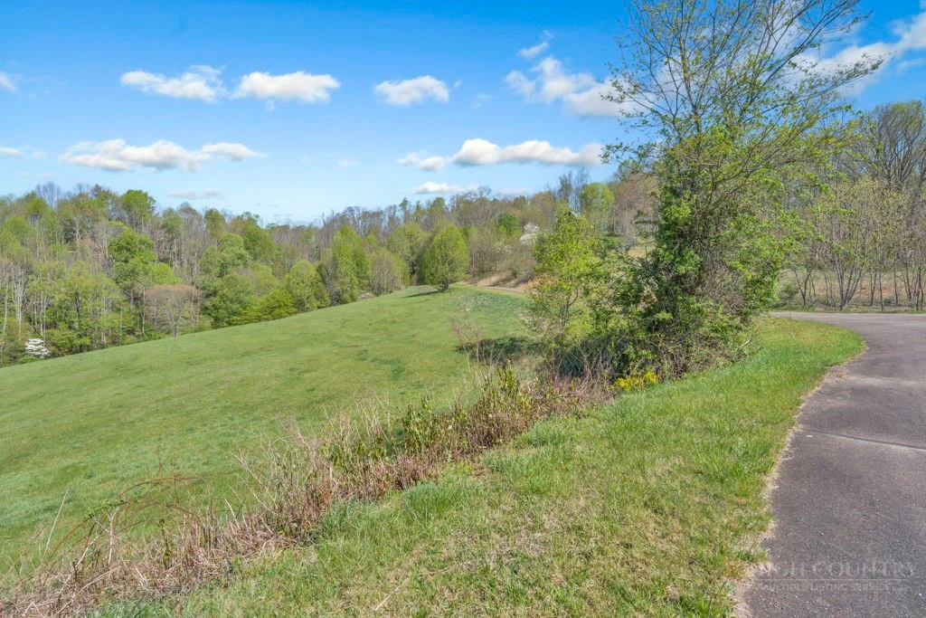 Image number 11 for the current listing
