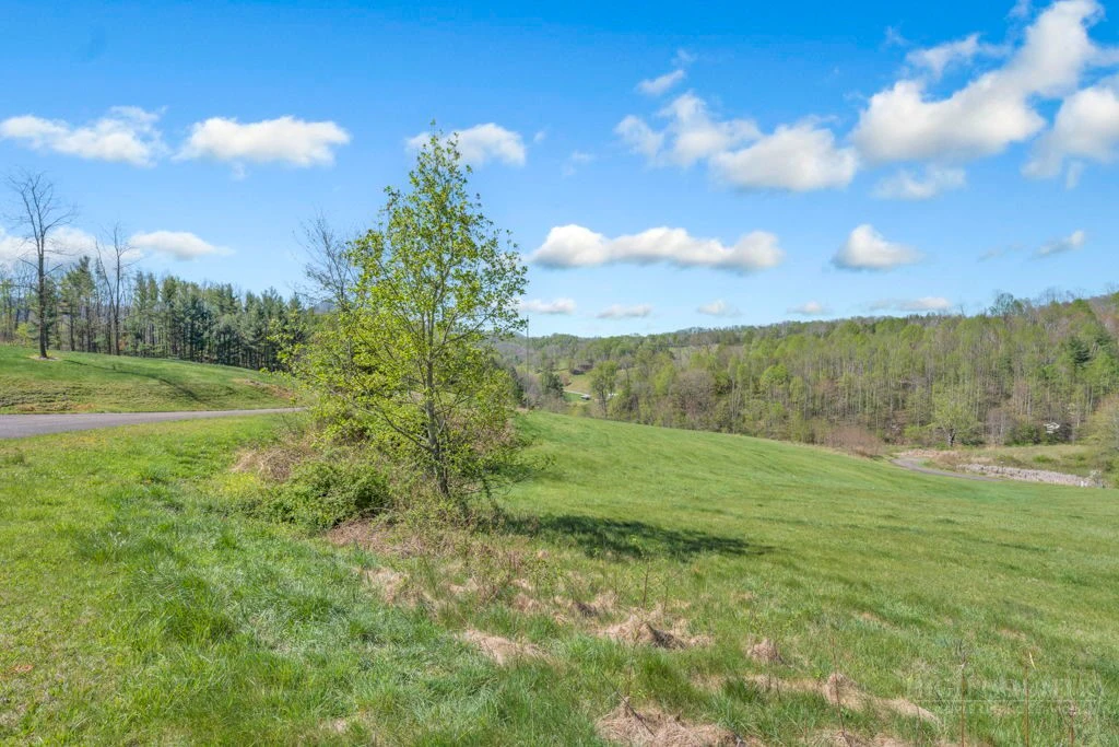 Image number 2 for the current listing