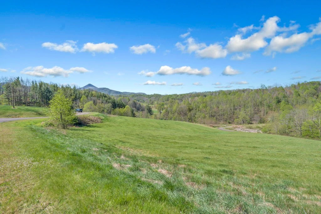 Image number 13 for the current listing