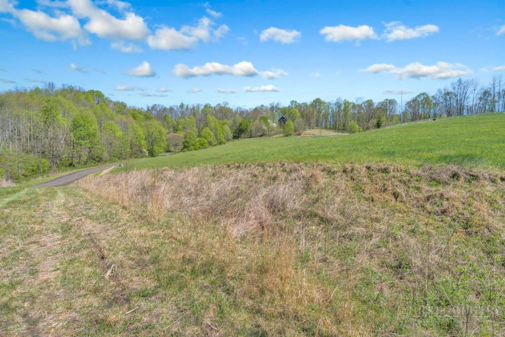 Image number 7 for the current listing