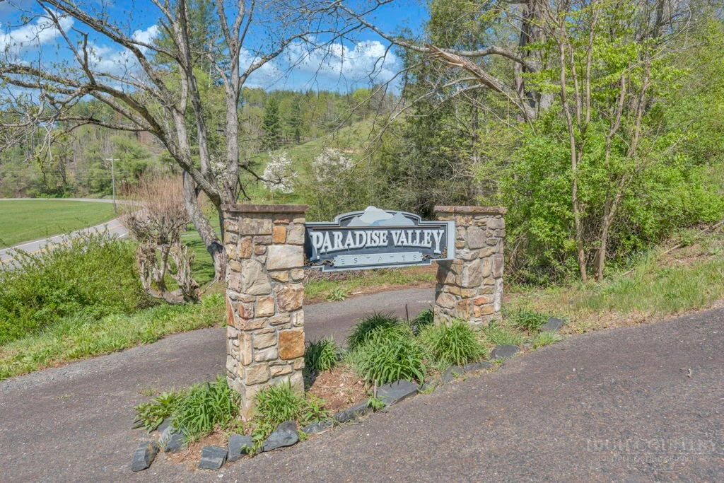 Image number 6 for the current listing