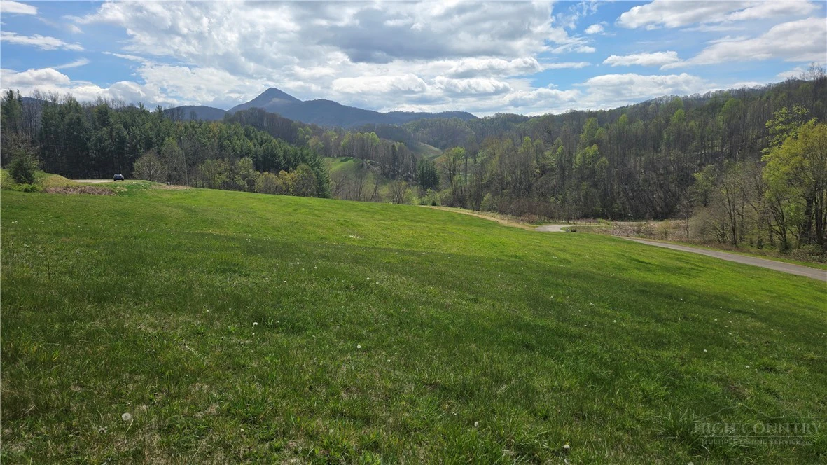 Image number 1 for the current listing