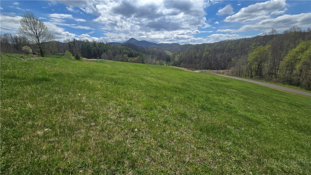Image number 20 for the current listing