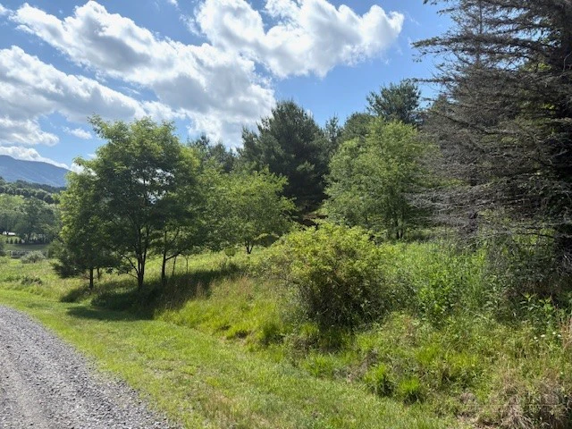 Image number 1 for the current listing