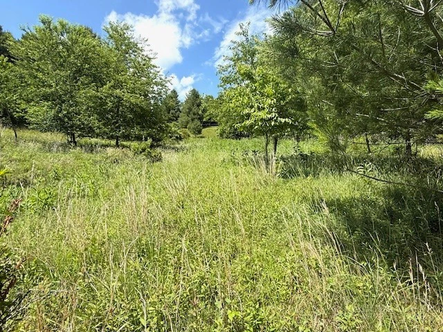 Image number 2 for the current listing