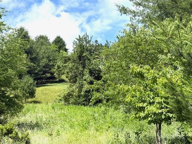 Image number 3 for the current listing