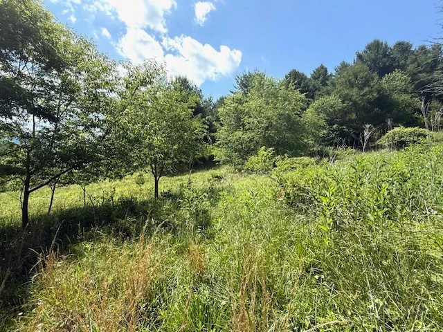 Image number 4 for the current listing