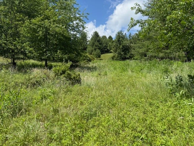 Image number 5 for the current listing