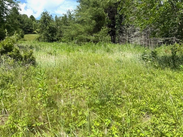 Image number 6 for the current listing