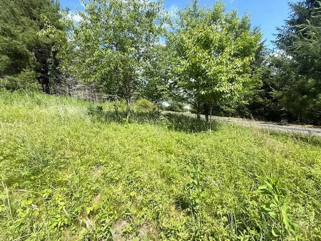 Image number 8 for the current listing