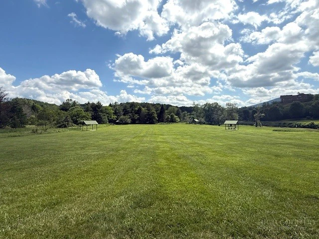 Image number 10 for the current listing