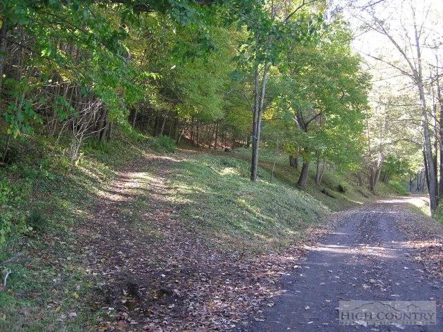 Image number 3 for the current listing
