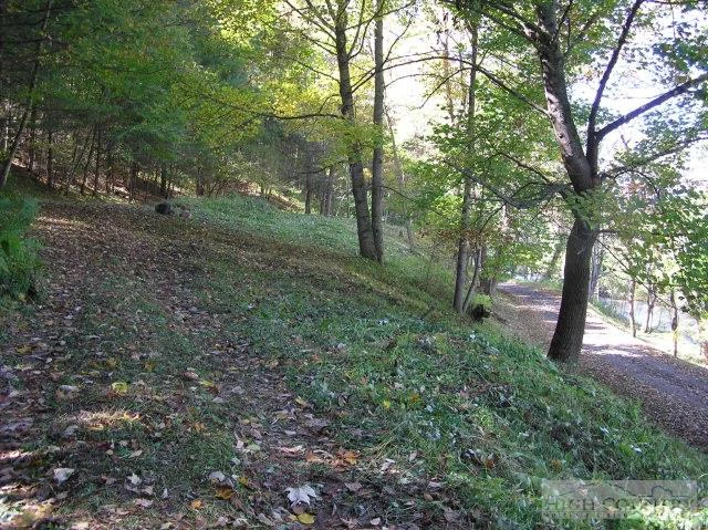 Image number 4 for the current listing