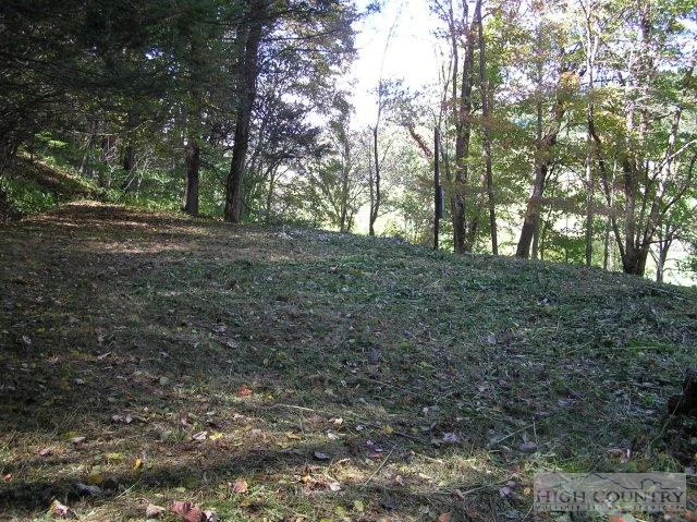 Image number 5 for the current listing