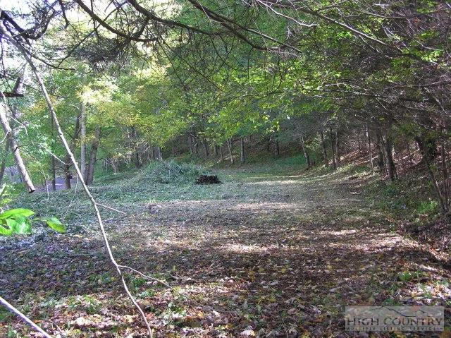 Image number 10 for the current listing