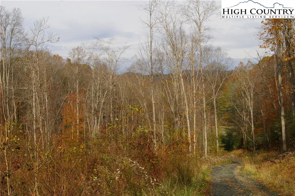 Image number 1 for the current listing
