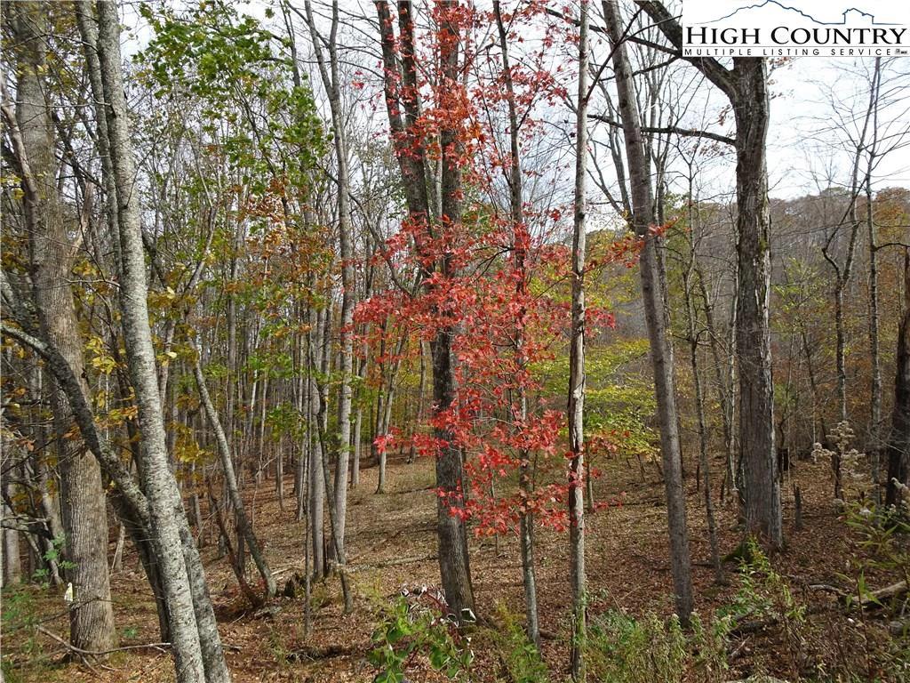 Image number 4 for the current listing