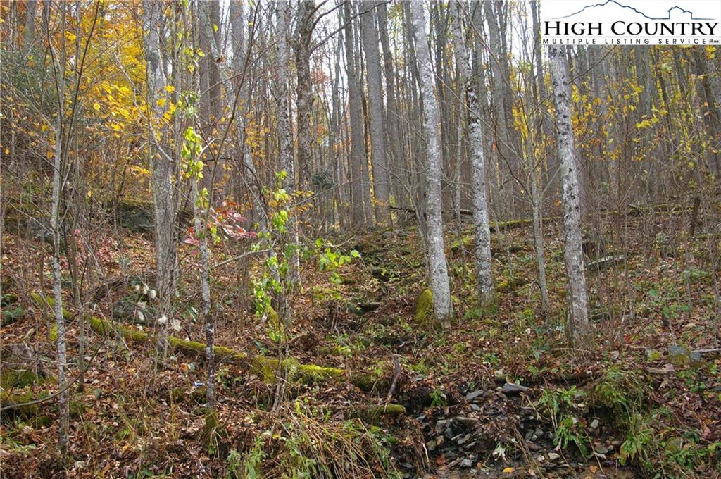 Image number 5 for the current listing