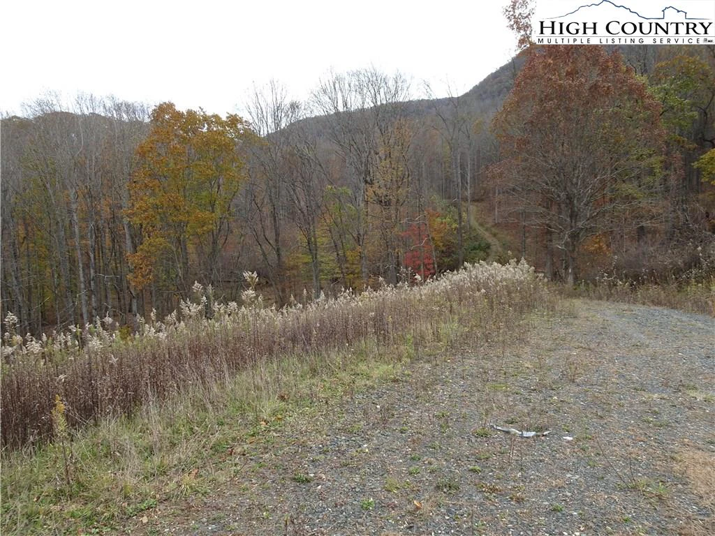 Image number 6 for the current listing