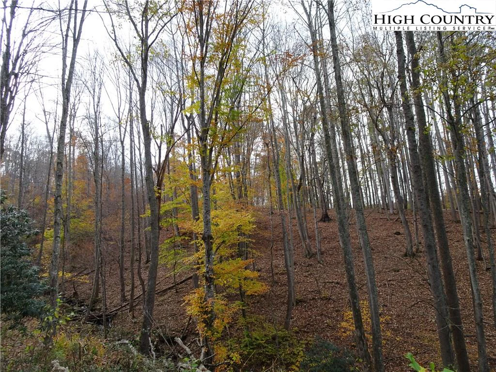 Image number 8 for the current listing
