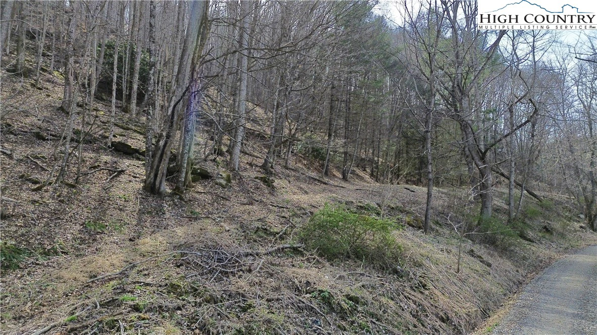 Image number 4 for the current listing