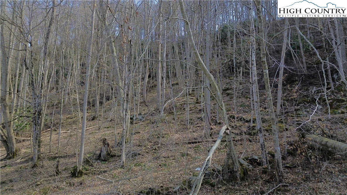 Image number 7 for the current listing
