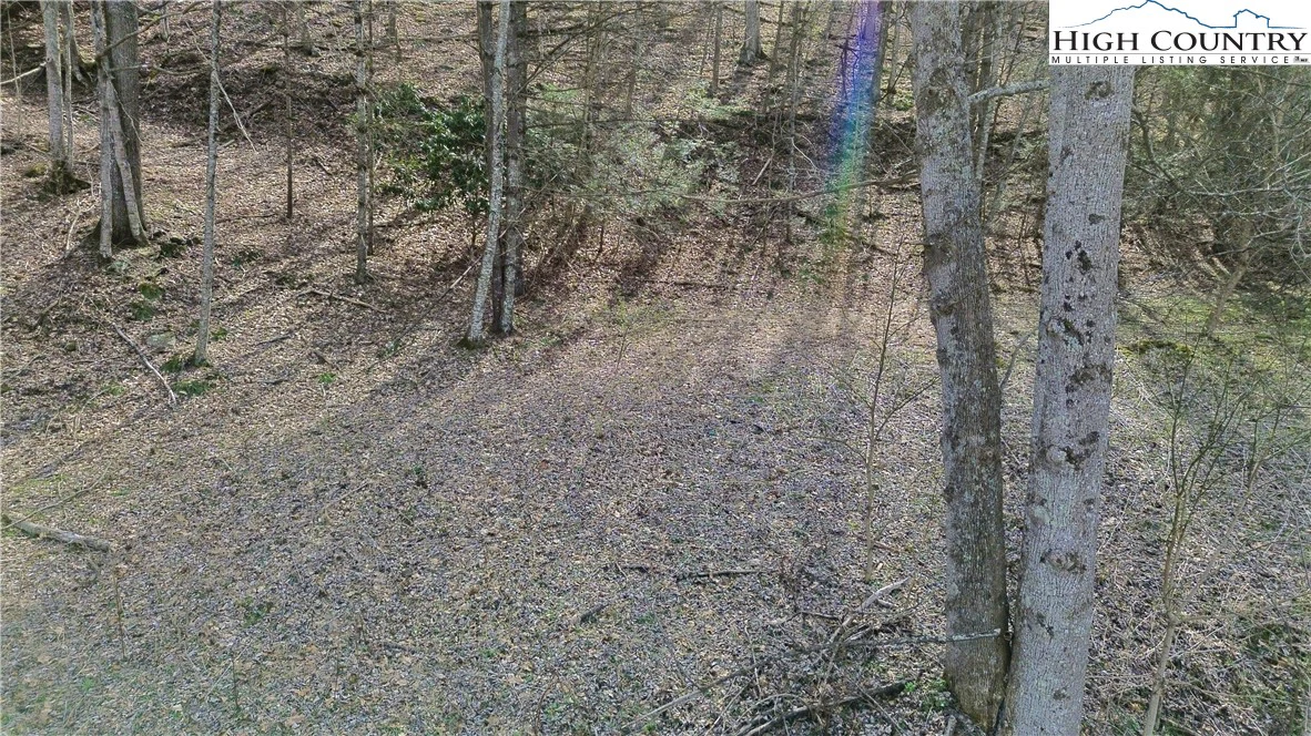 Image number 8 for the current listing