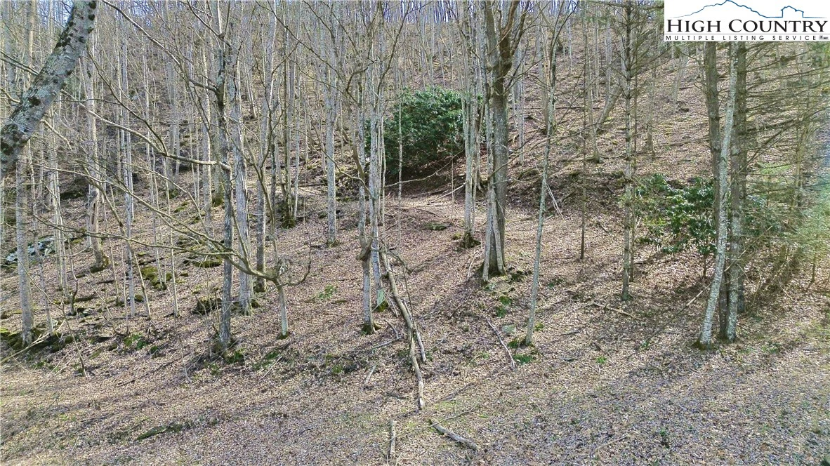 Image number 9 for the current listing