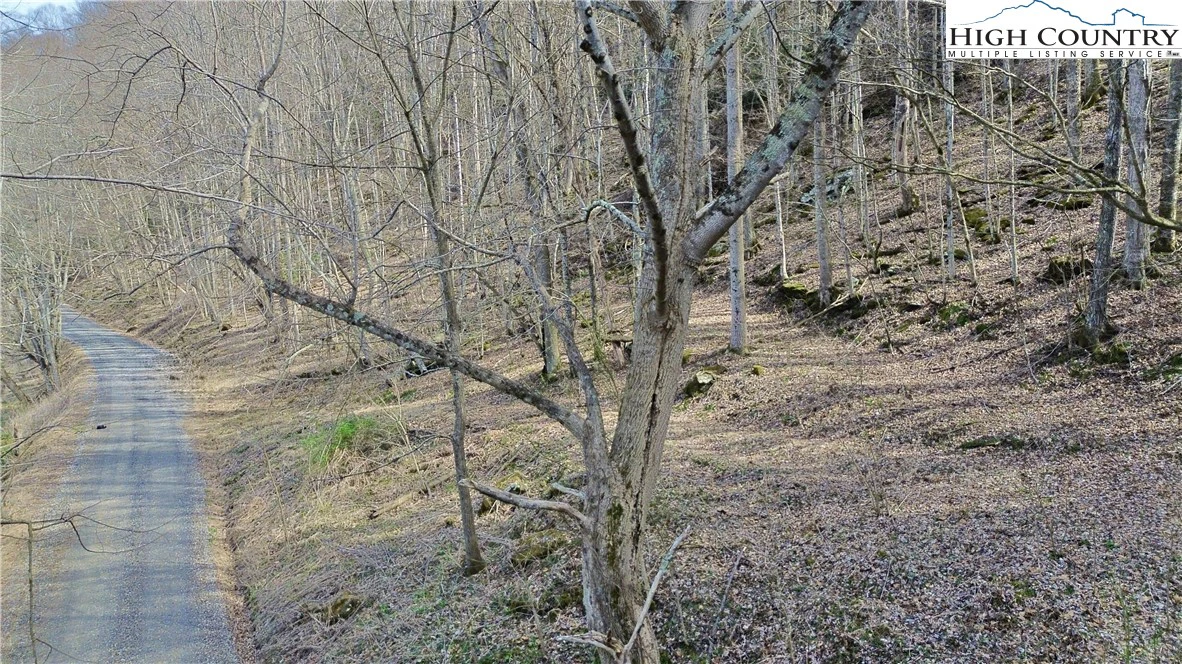 Image number 10 for the current listing