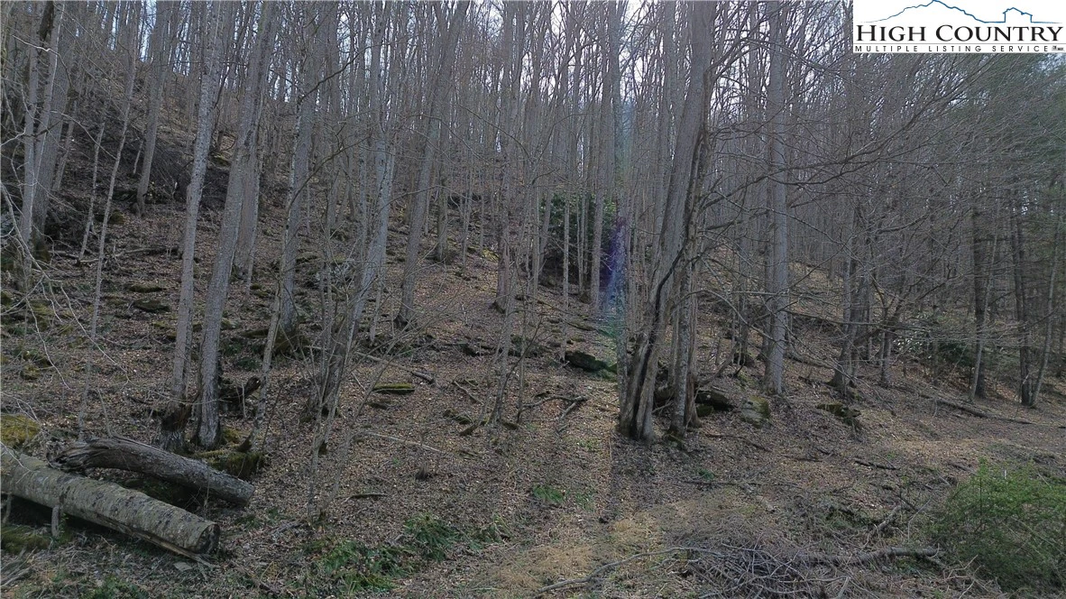 Image number 11 for the current listing