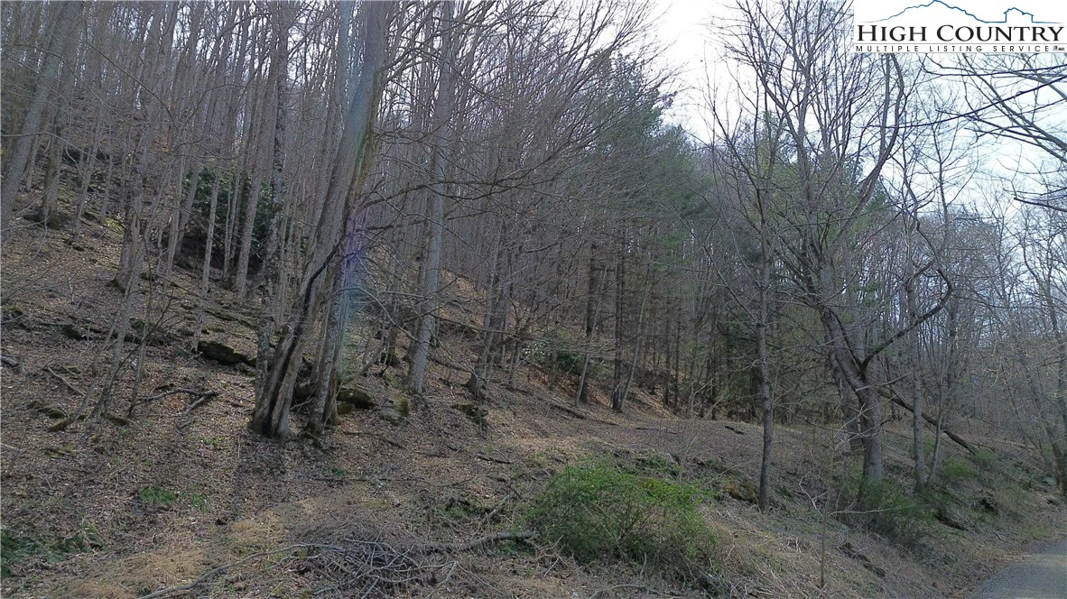 Image number 12 for the current listing