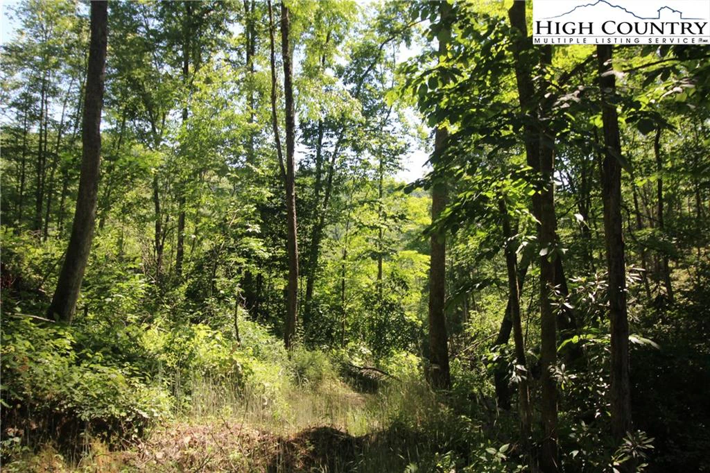 Image number 1 for the current listing