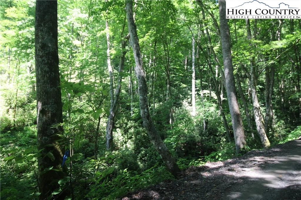 Image number 3 for the current listing